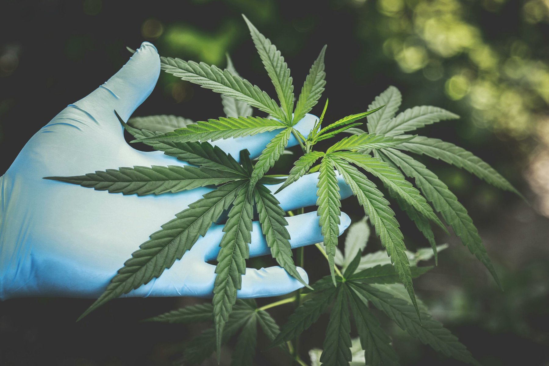 CBD products for sexual health